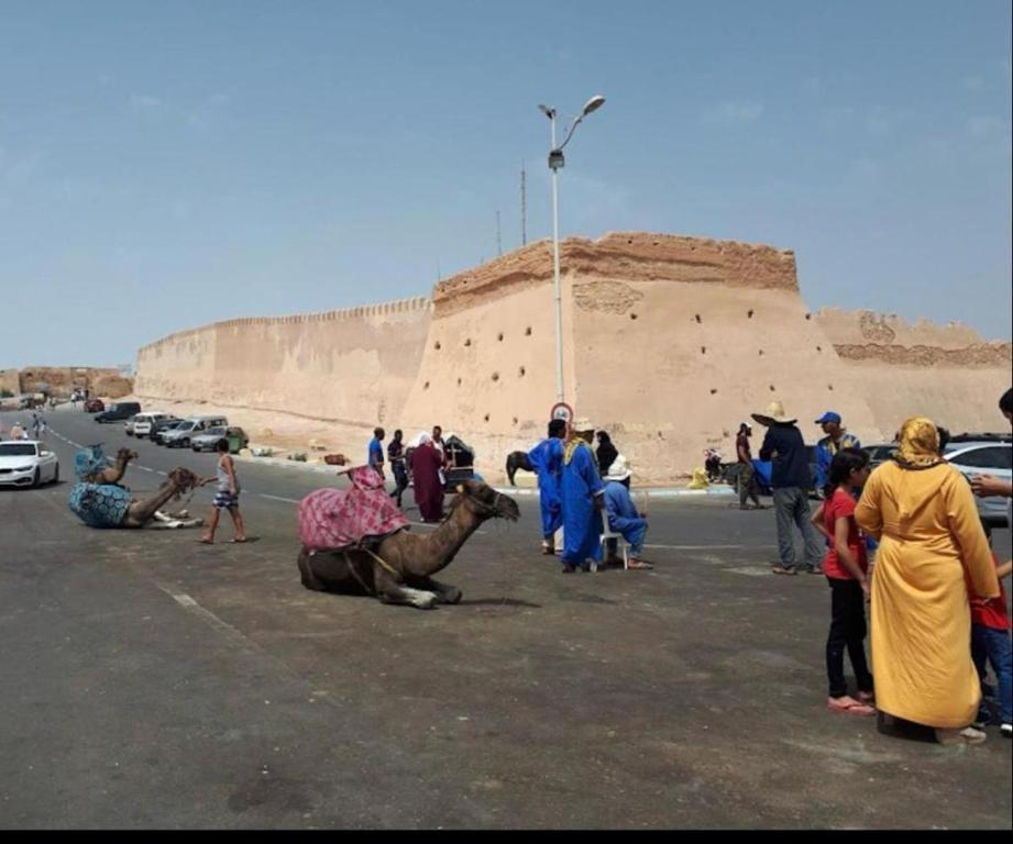 eine Gruppe von Menschen, die auf einem Parkplatz mit einem Kamel stehen in der Unterkunft Appartement spacieux à seulement 10minutes de la plage d'Agadir in Agadir