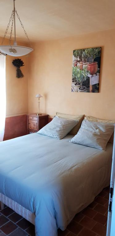a bedroom with a large white bed in a room at Les Oliviers De Notre Dame in Mazan