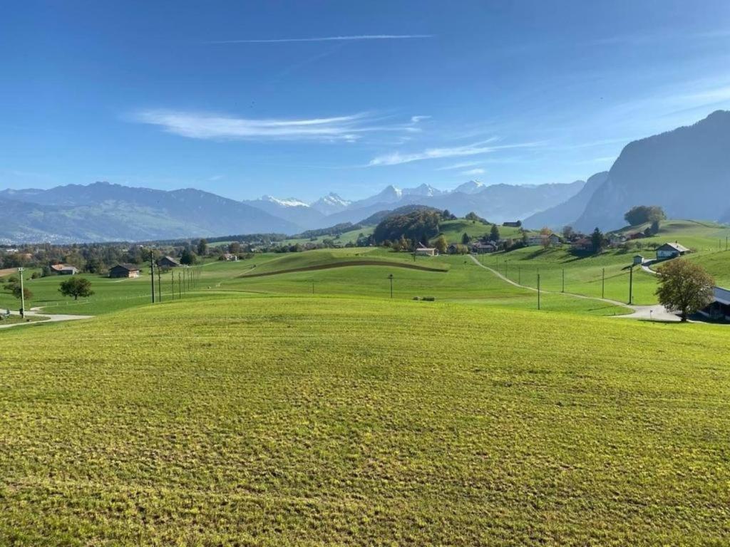 a field of green grass with mountains in the background at Bijou Höfen 