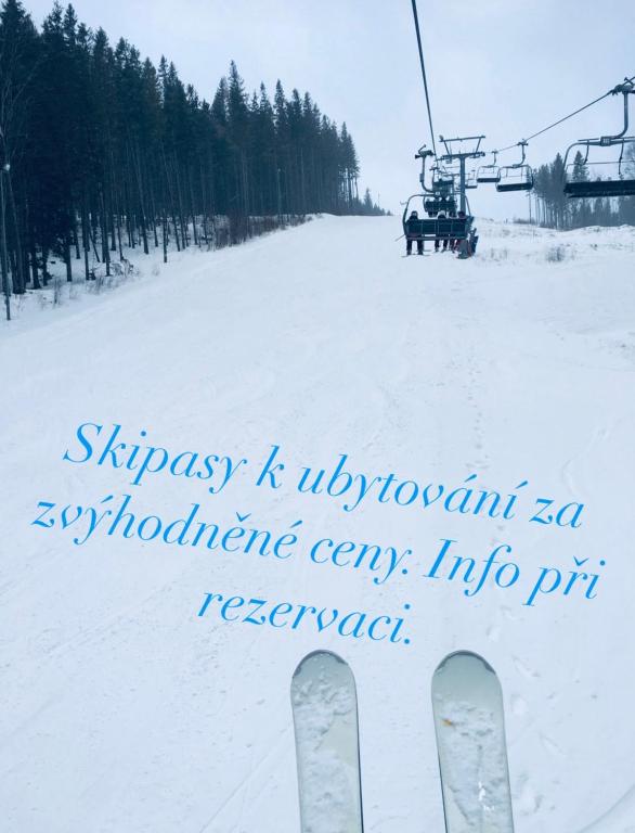 Pension Grizzly v zimě