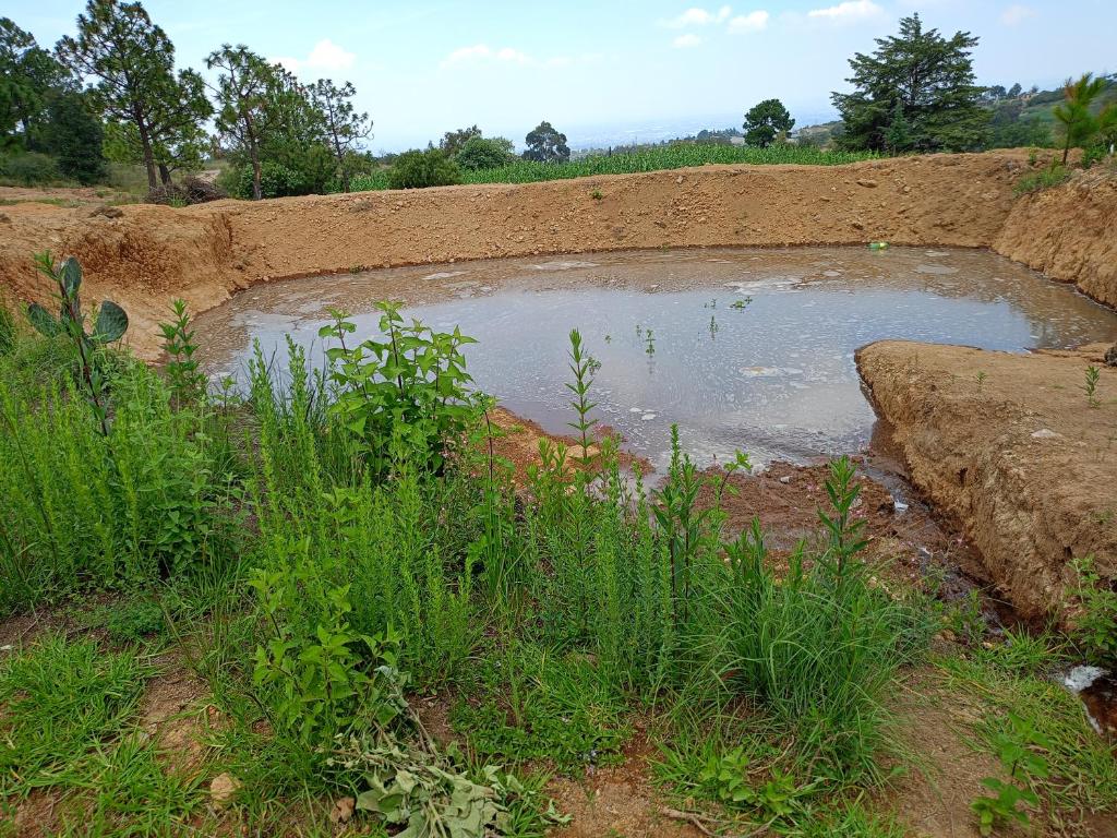 un estanque de agua en un campo con hierba en Tequex, en Xochimancan