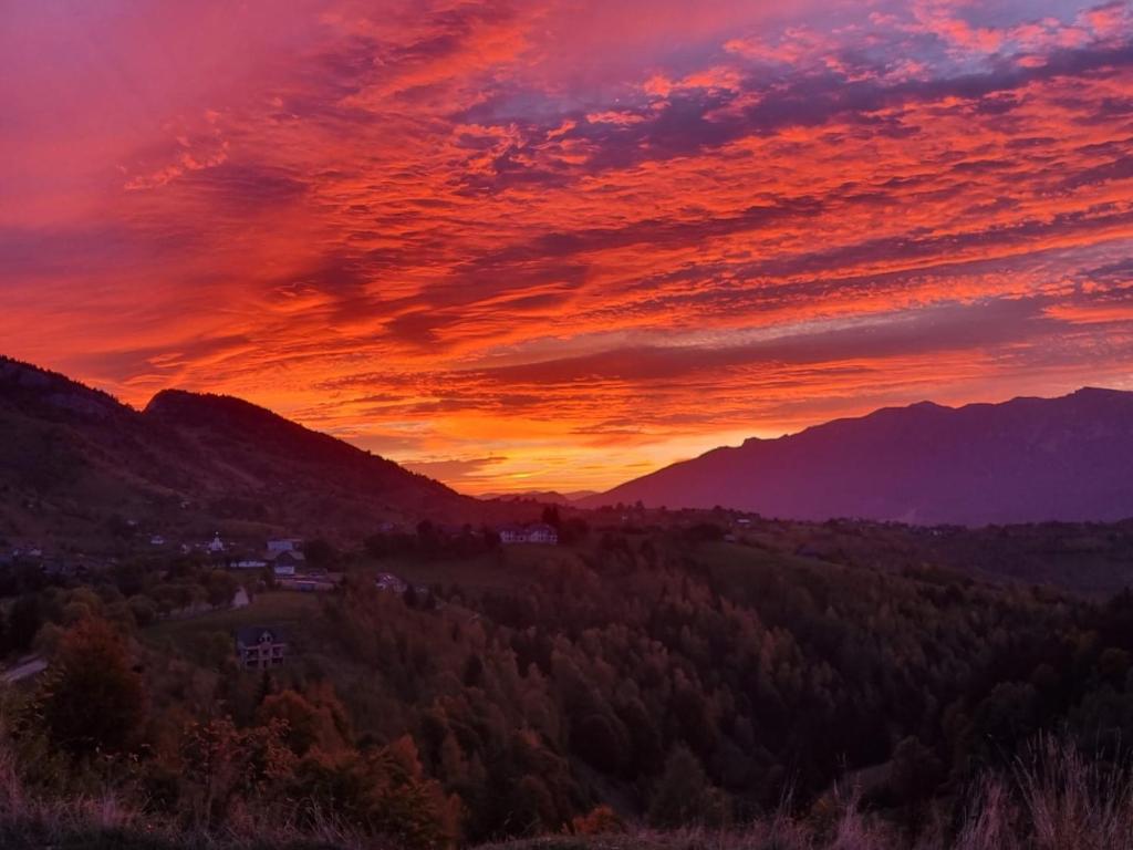 a sunset over a valley with trees and mountains at Mosorel in Măgura