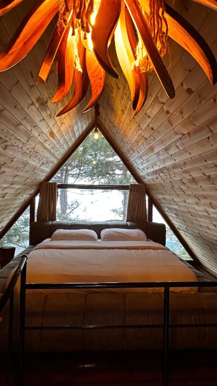 DAJTI PARADISE RESORT - Imazhi 2