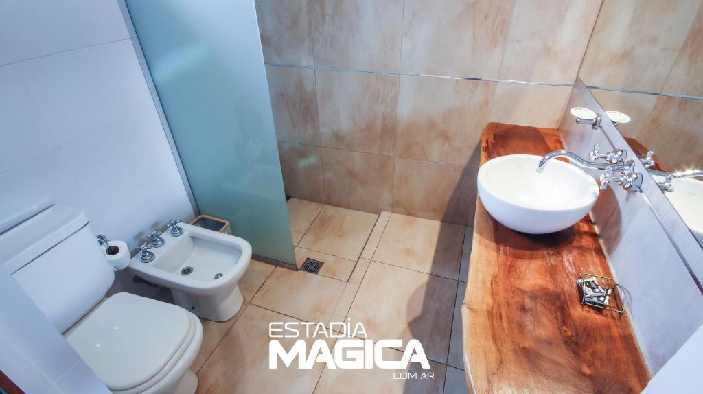 a bathroom with a white toilet and a sink at Hotel Termas Lahuen-Có in Los Molles