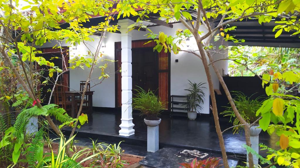 Yashi's Place Sigiriya - 1