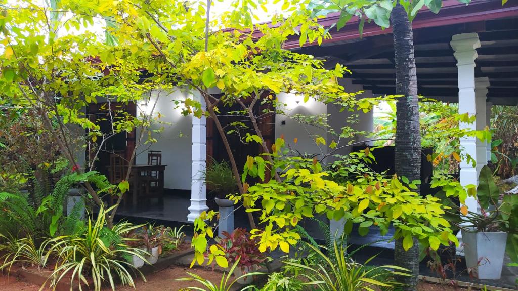 a view of the front porch of a house with plants at Yashi's Place Sigiriya in Sigiriya