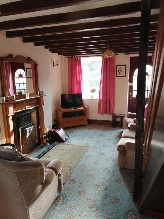 a living room with a couch and a fireplace at 2 Rhys Terrace in Machynlleth