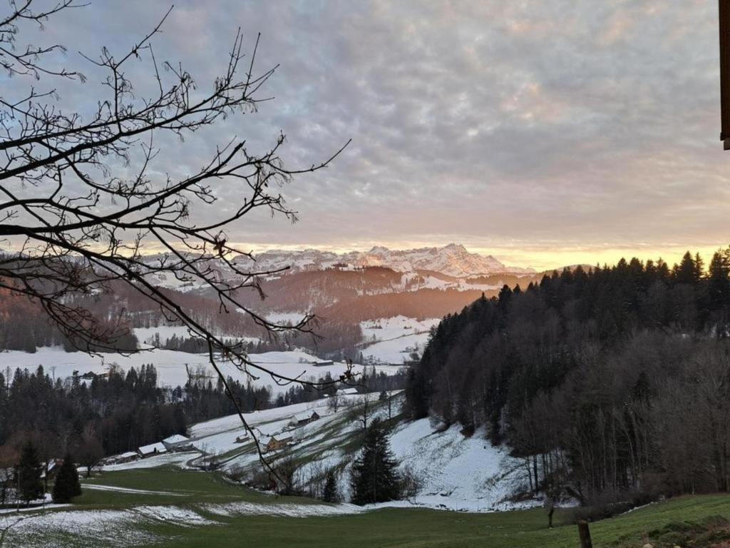a view of a snow covered valley with mountains at Sennastübli in Bühler