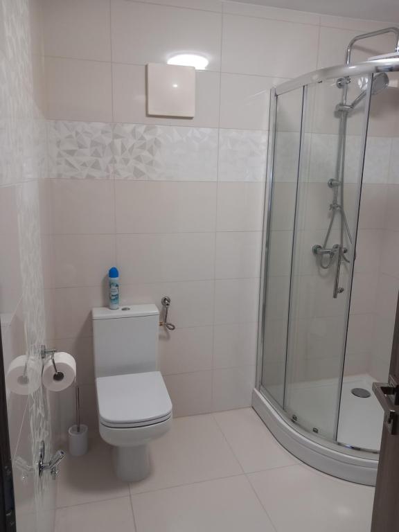 A bathroom at Prime Apartment Heviz