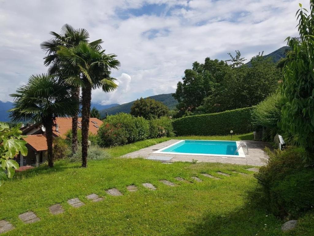 una piscina en un patio con una palmera en Residenza Nasca mit Schwimmbad, en Castelveccana