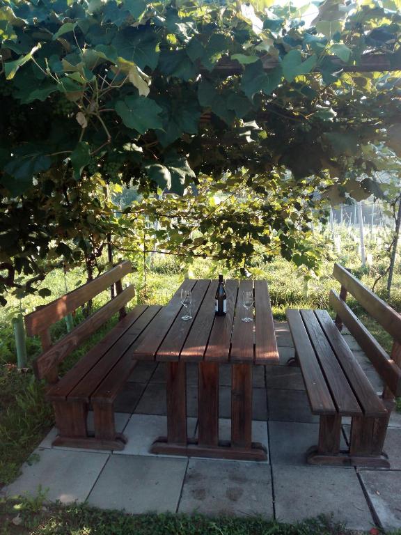 Zahrada ubytování Gästehaus Grasch