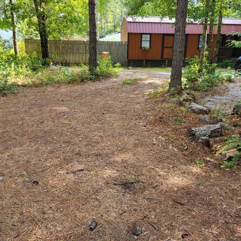 a dirt road in front of a house with trees at Fern Gully cabin in Conway