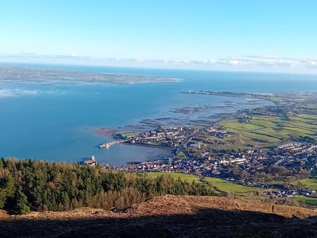 an aerial view of the islands in the water at Carlingford Glamping Hut in Rathcor Lower