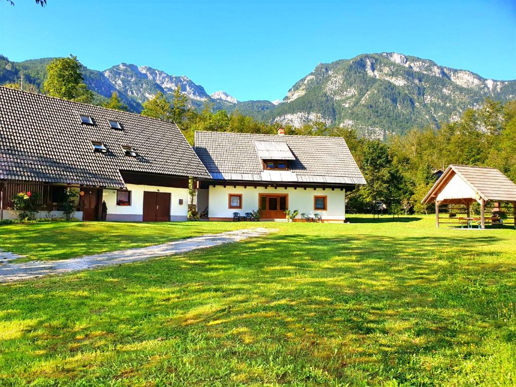 a house with a large yard with mountains in the background at Apartmaji Zupanc Ivanka in Bohinj