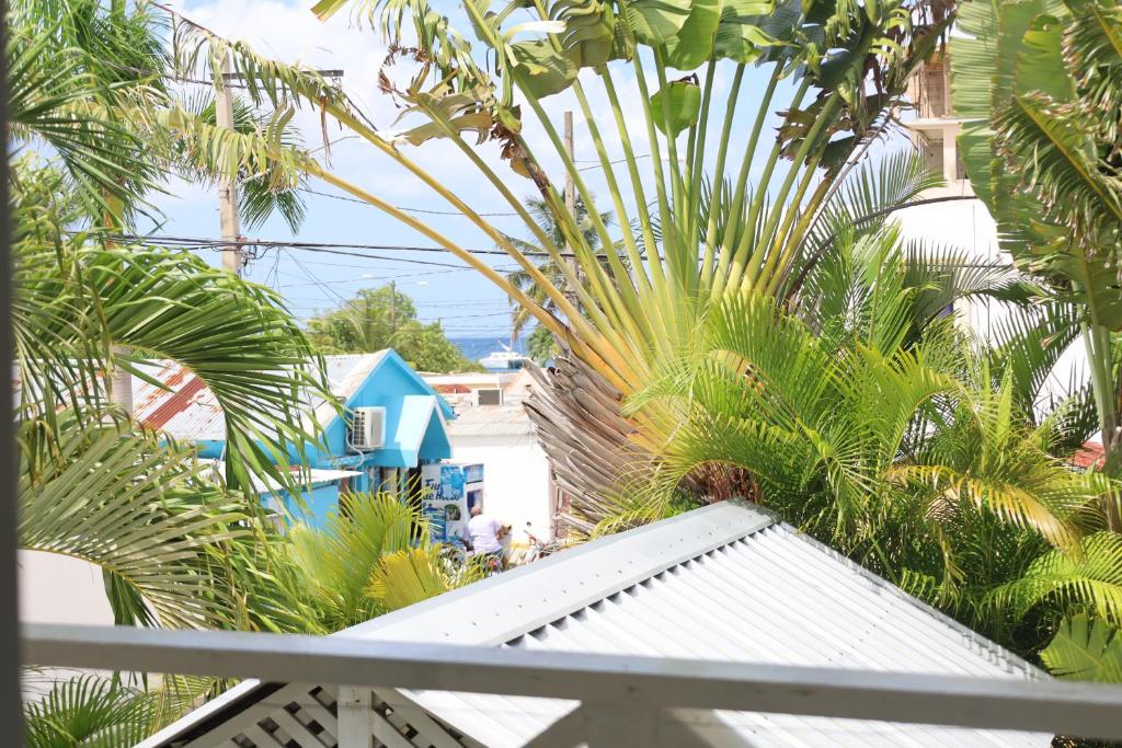 Zahrada ubytování Bayahibe Guest House Hotel