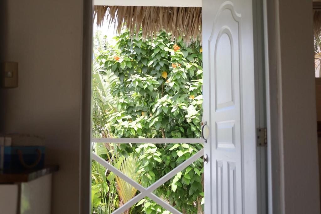 Bayahibe Guest House Hotel - Suite