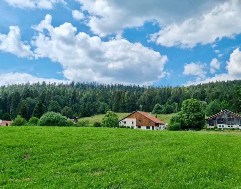 Pokrajina v okolici počitniške hiške