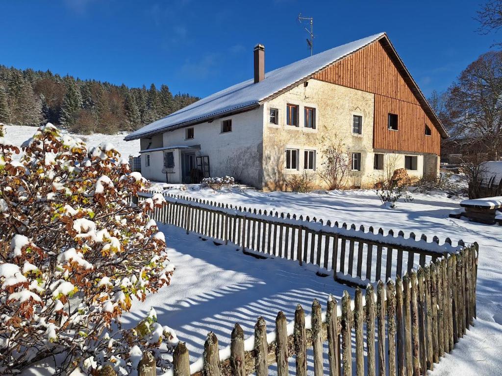 LaTerestone pozimi