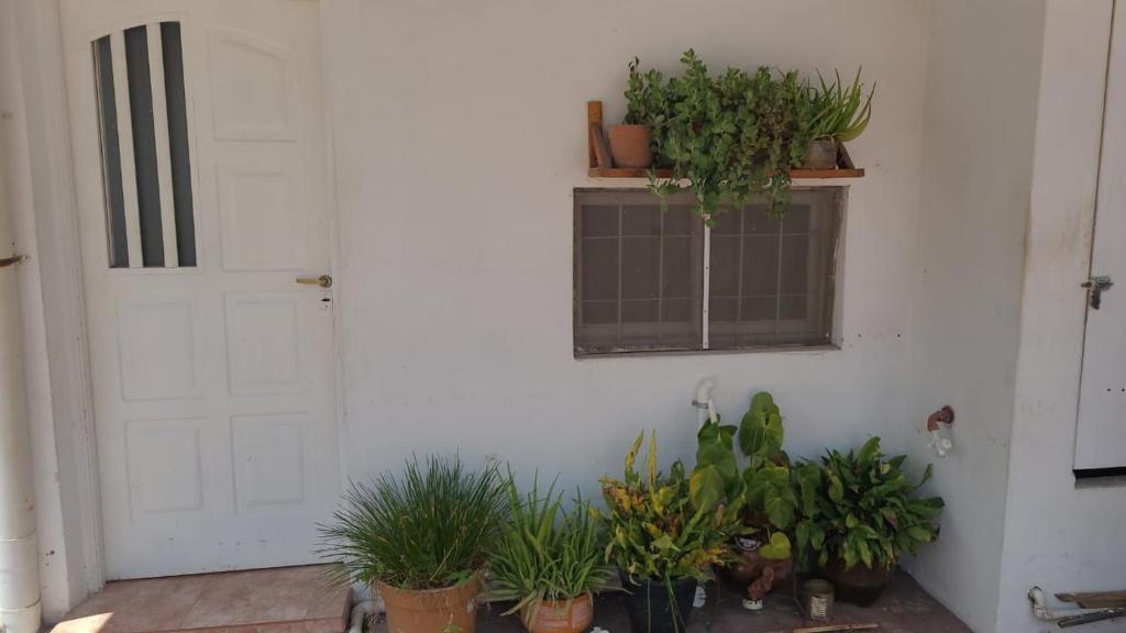 a room with potted plants and a white door at Lo de tungo in Paraná