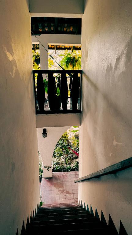 Foto sihtkohas Copán Ruinas asuva majutusasutuse Garden Hotel galeriist