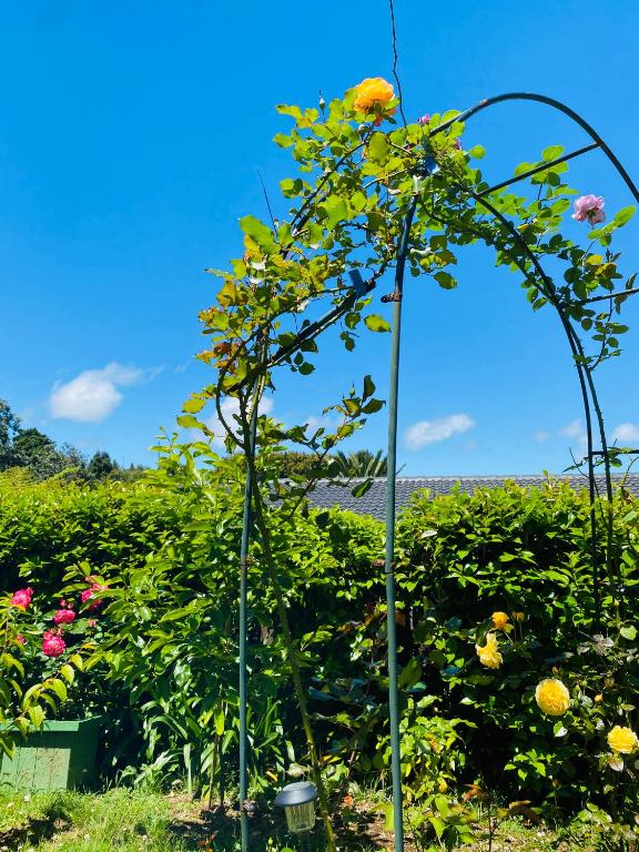 Delight at Golf - Resim 26