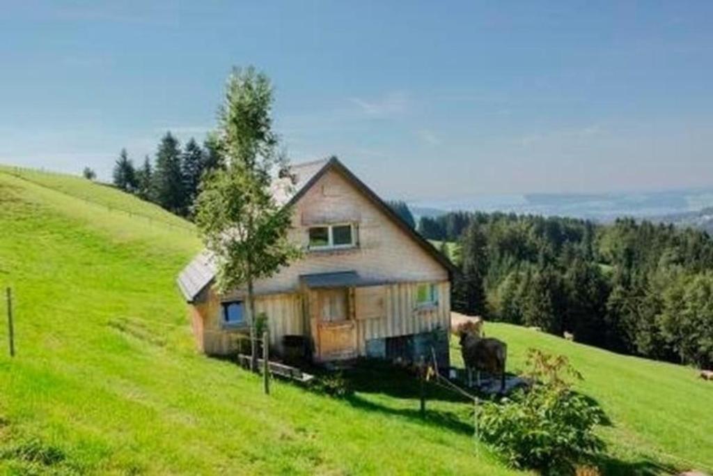 ein Haus auf einem Hügel auf einem grünen Feld in der Unterkunft "Hüttli" neben dem Bauernhof Fendrig - b48572 in Haslen