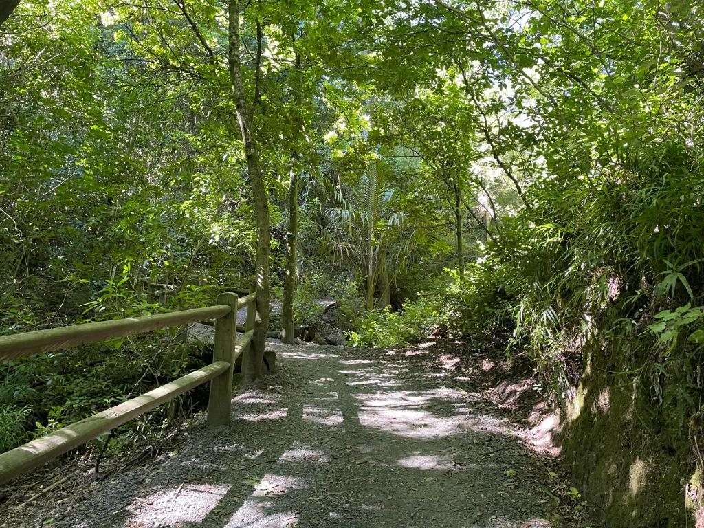 a path in a forest with a wooden fence at YHA Nelson in Nelson