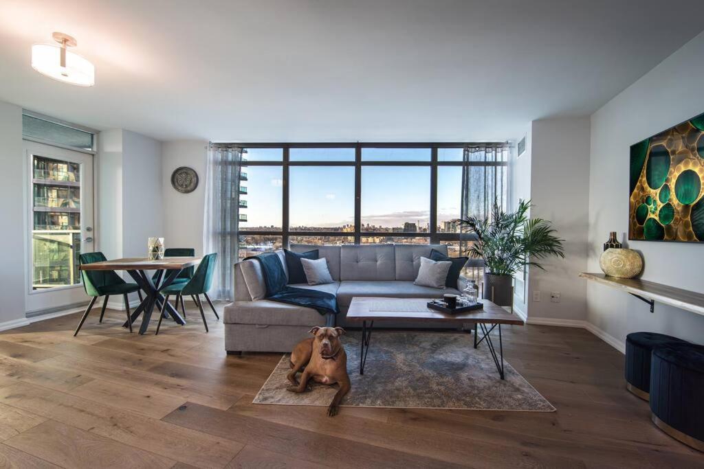 トロントにあるModern Downtown Condo Free Parking Pool Balcony Walk to Lakeのリビングルーム(犬が寝床に寝そべっている)