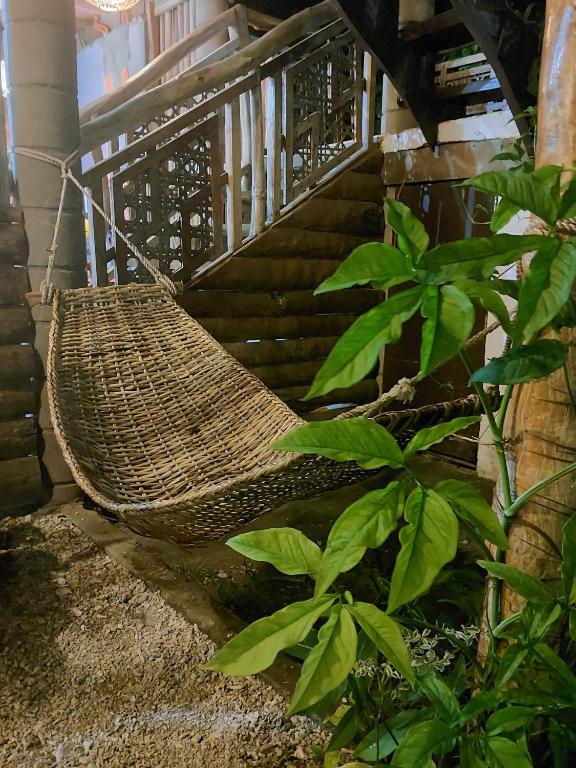 Fotografie z fotogalerie ubytování Sand 1 Hostel v destinaci Siquijor