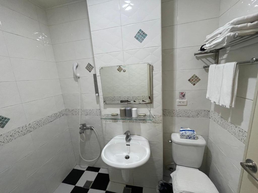 a bathroom with a sink and a toilet and a mirror at 萩閣民宿Sara&#39;s House走路可到夜市近市區好停車 in Hualien City