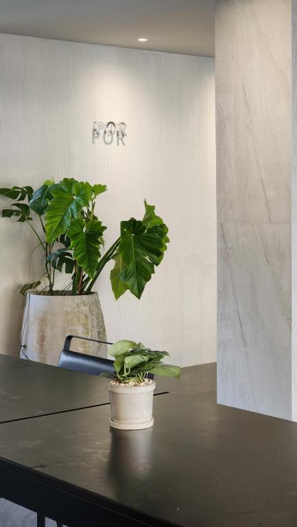 POR Singharat - Resim 22