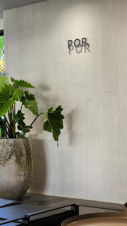 POR Singharat - Resim 17