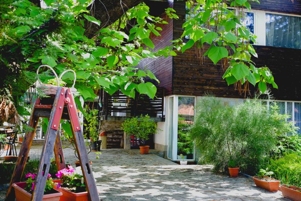 Zahrada ubytování Villa "Forest way"