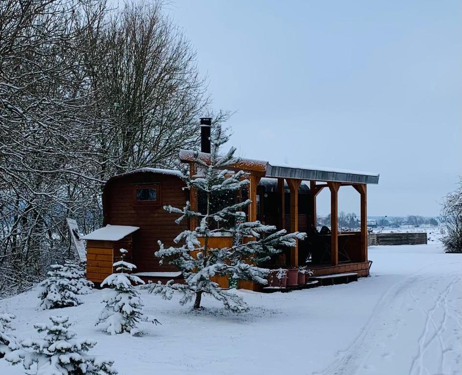 Irenes Tinyhouse v zimě