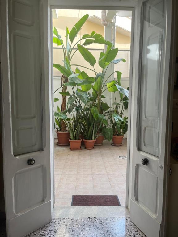Fotografie z fotogalerie ubytování Salento b&b Trepuzzi v destinaci Trepuzzi