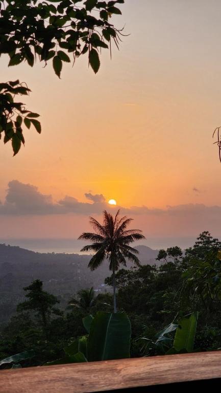 SZ Samui Glamping - 12