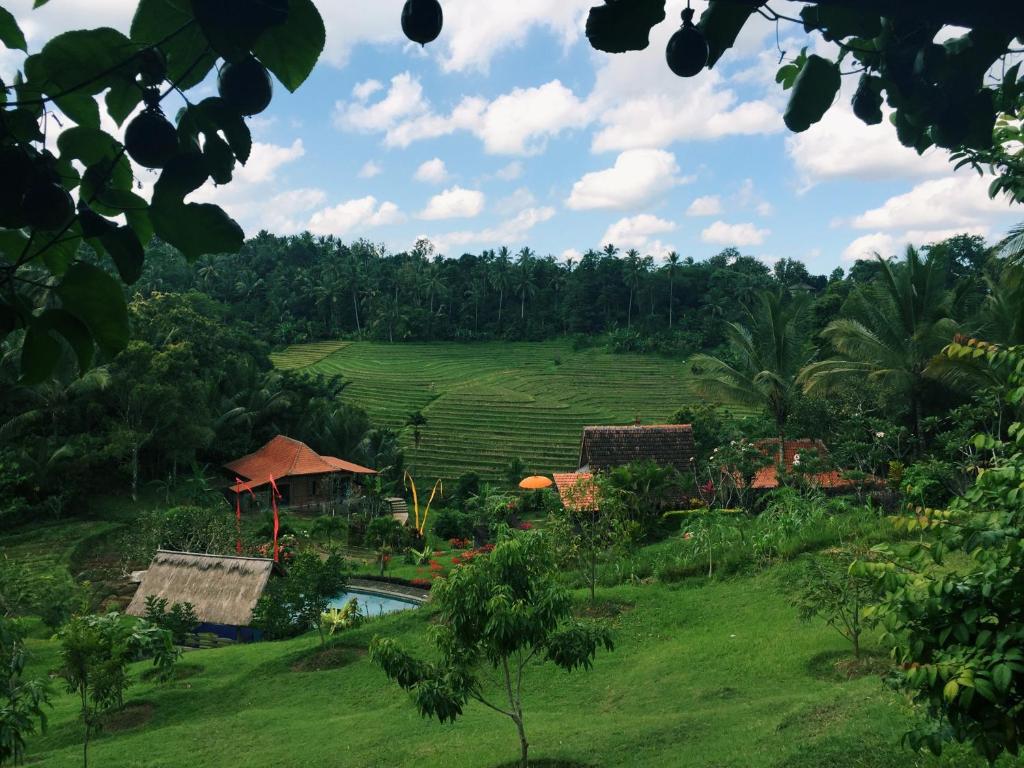 uma vista da quinta a partir da colina em Bali Lush em Selemadeg