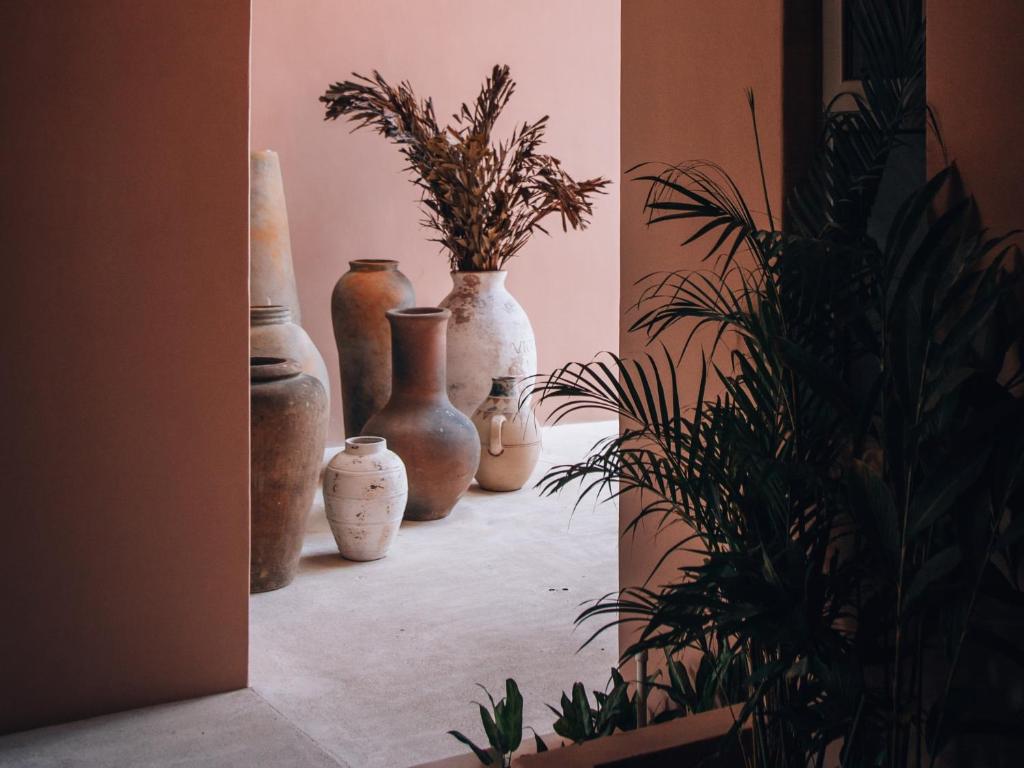 un groupe de vases assis sur une étagère avec des plantes dans l'établissement Aflora Tulum - Managed by Elite Alliance, à Tulum