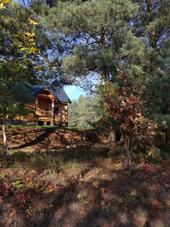 une cabane en rondins au milieu d'une forêt dans l'établissement Drewniany dom na skraju lasu U Pana Szeptuna, à Lidzbark