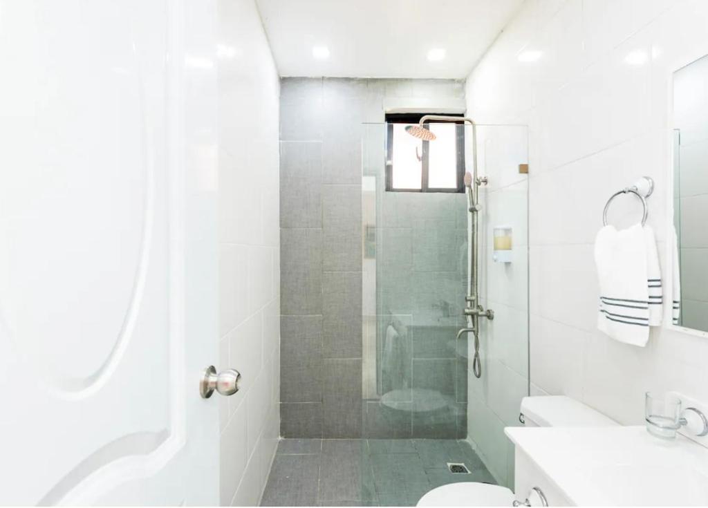 a white bathroom with a shower and a toilet at Residencial García 1 apt 3 in La Romana