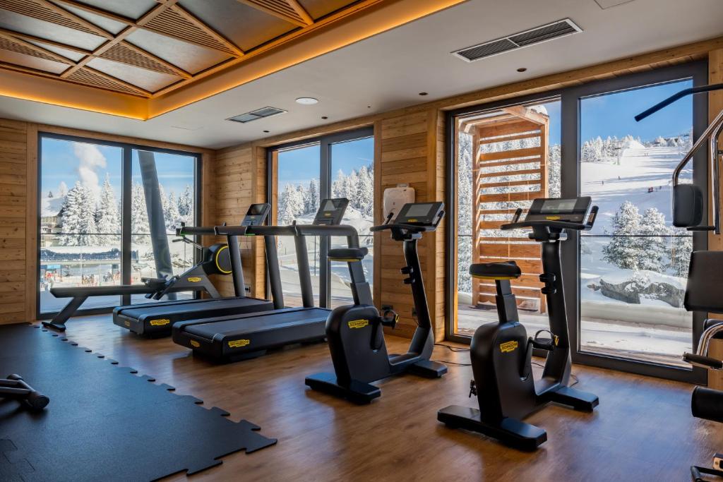 Fitness centrum a/nebo fitness zařízení v ubytování Alpin Peaks