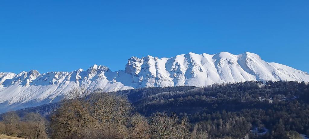 a snow covered mountain with trees in front of it at Gîte du Faraud in Le Dévoluy