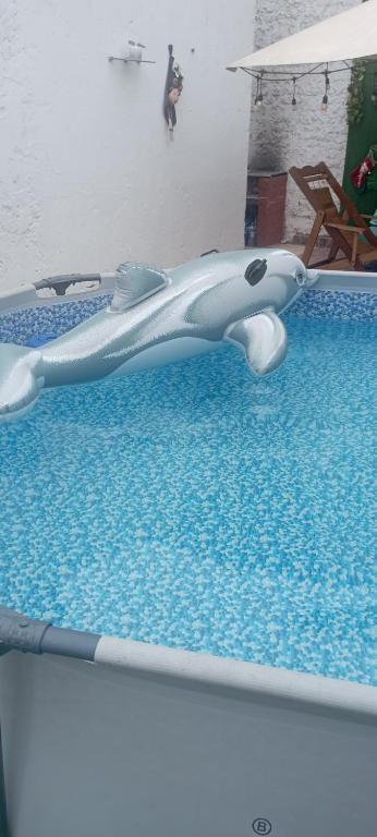 un tiburón de juguete en el borde de una piscina en Casa Blue Hill Beach en Cerro Azul