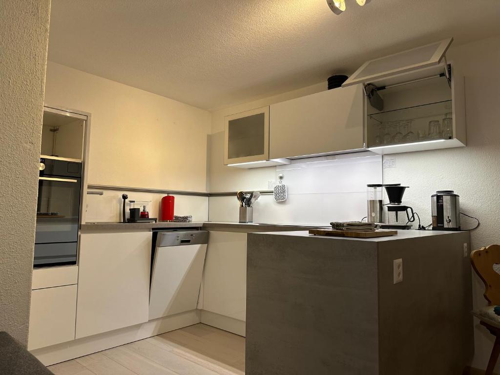 Kuchyň nebo kuchyňský kout v ubytování Chasa Stefania, modernes Engadiner Haus mit Wellness und Sauna