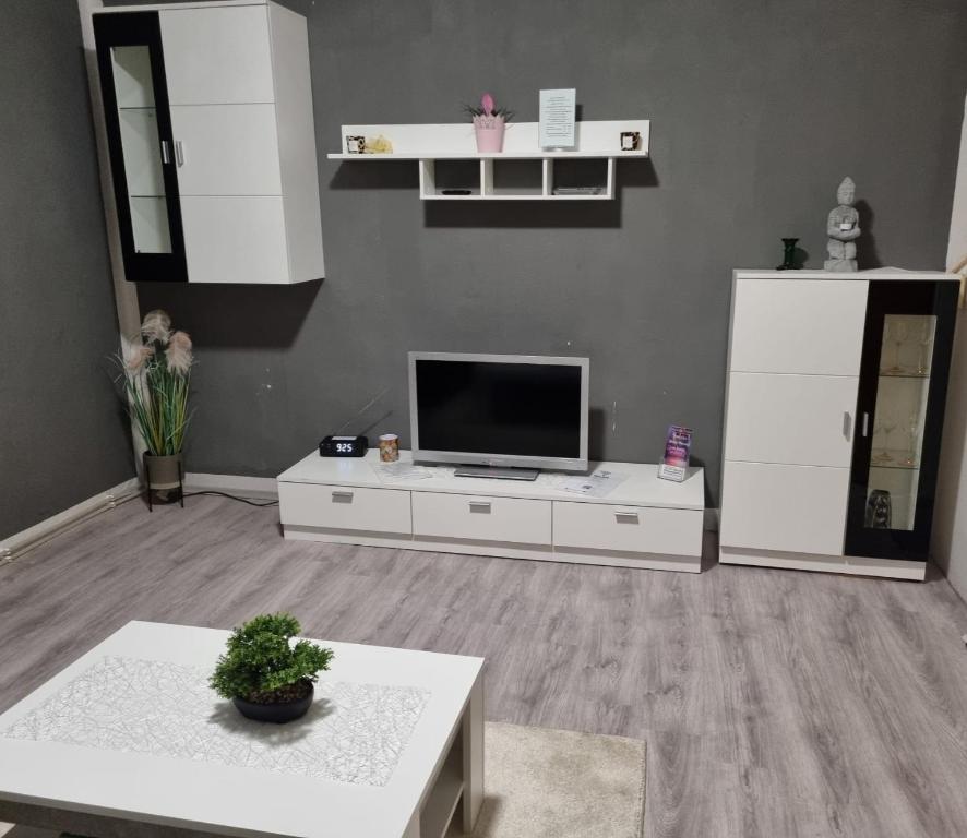 TV a/nebo společenská místnost v ubytování Ferienwohnung Plötzky