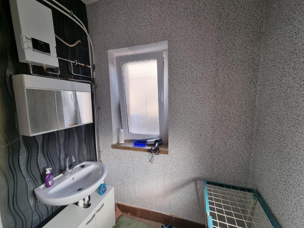 Kuchyň nebo kuchyňský kout v ubytování Ferienwohnung Plötzky