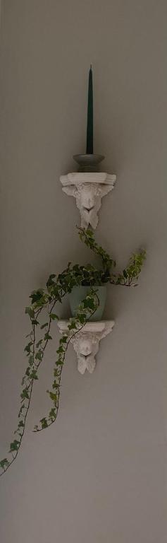 Fotografie z fotogalerie ubytování Oakhurst Guesthouse v destinaci Cobh