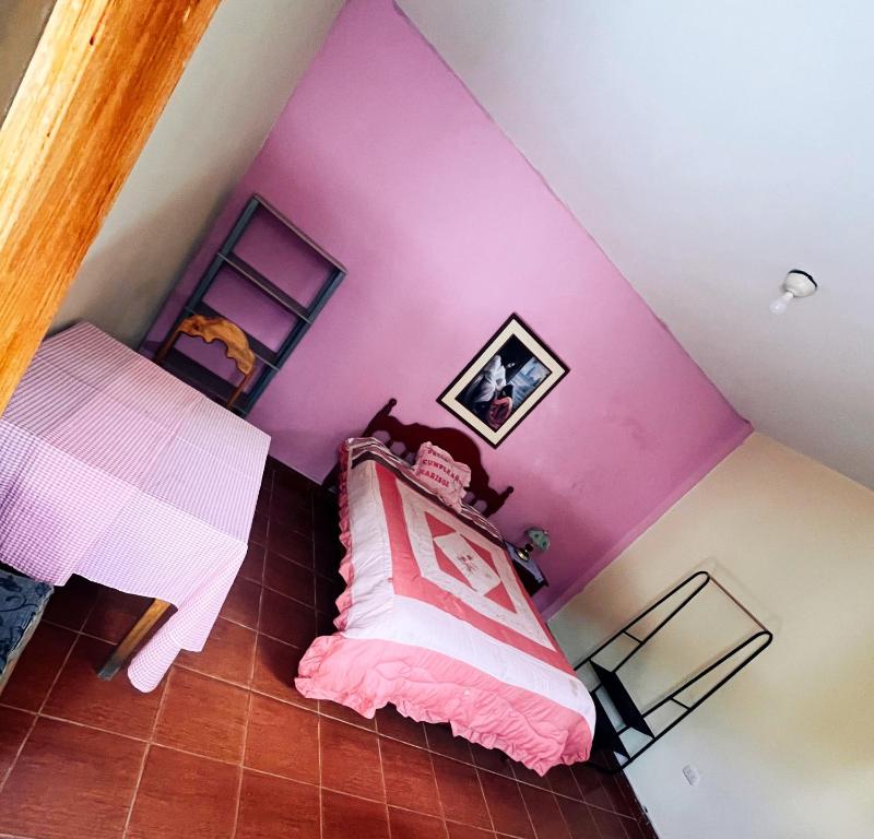 a bedroom with pink walls and a bed with a pink bedspread at La casita de la abuela in Cajamarca