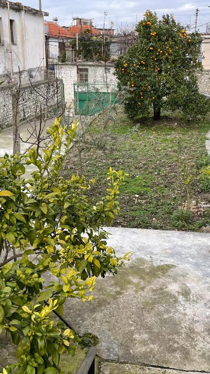 Ardjon House - Imazhi 5