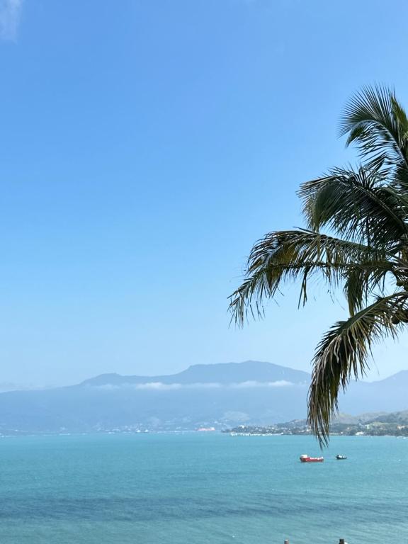 uma palmeira e o oceano com um barco em LaVille - Suítes em São Sebastião